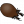 Oribatid