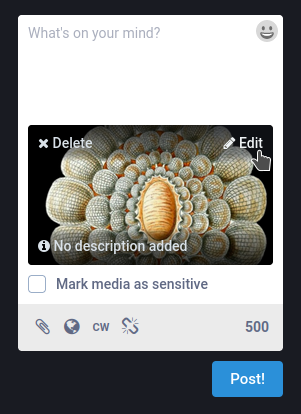 Click "Edit" or "No description added" to bring up the media description window.