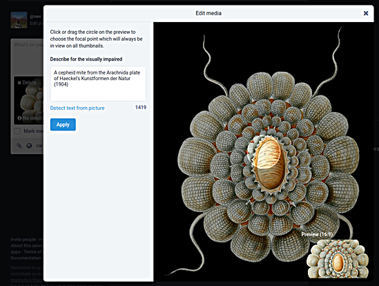 The image description window.